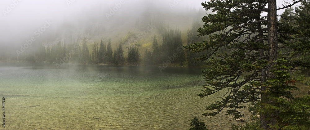 Jar of Fog