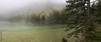 Jar of Fog